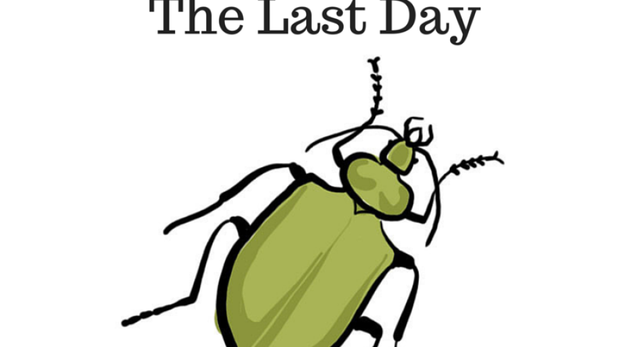 A Beetle Reminded me of the Last Day