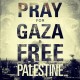 Gaza & The Muslim Response