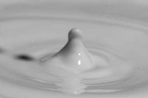 Parable on Taqwa: The Young Man & The Bowl of Milk